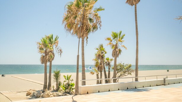 A beach with palm trees and a clear sky. - Stylish Urban Escape – 2-Bedroom Apartment with Rooftop Pool (Estepona)