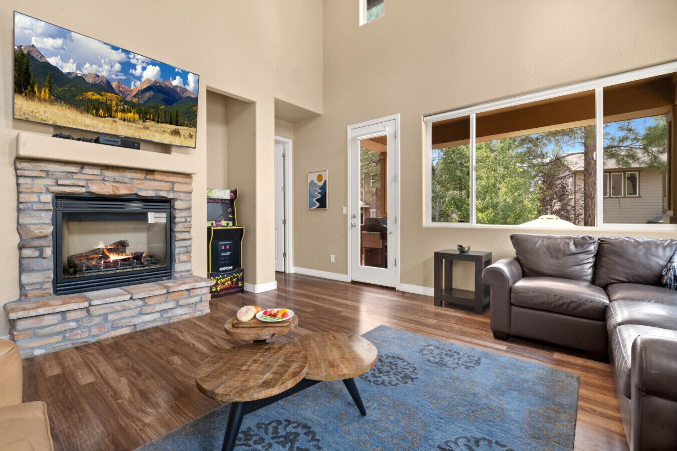 Smart TV, fireplace, video games, books