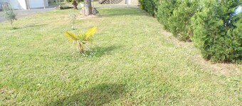 Large gite sleeps 4 plus 1 cot