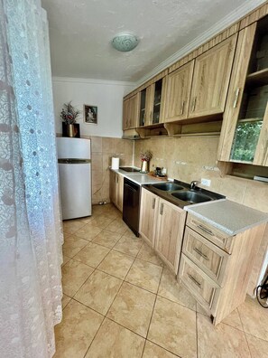 Fridge, stovetop, cookware/dishes/utensils