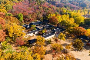 Ein traditioneller japanischer Gebäudekomplex mit mehreren Gebäuden, umgeben von Bäumen in Herbstfarben.