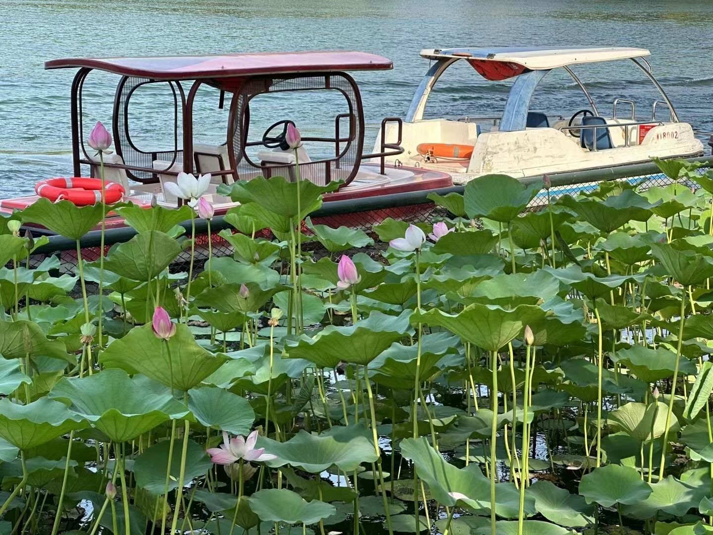 Pemandangan bandar dari hartanah
