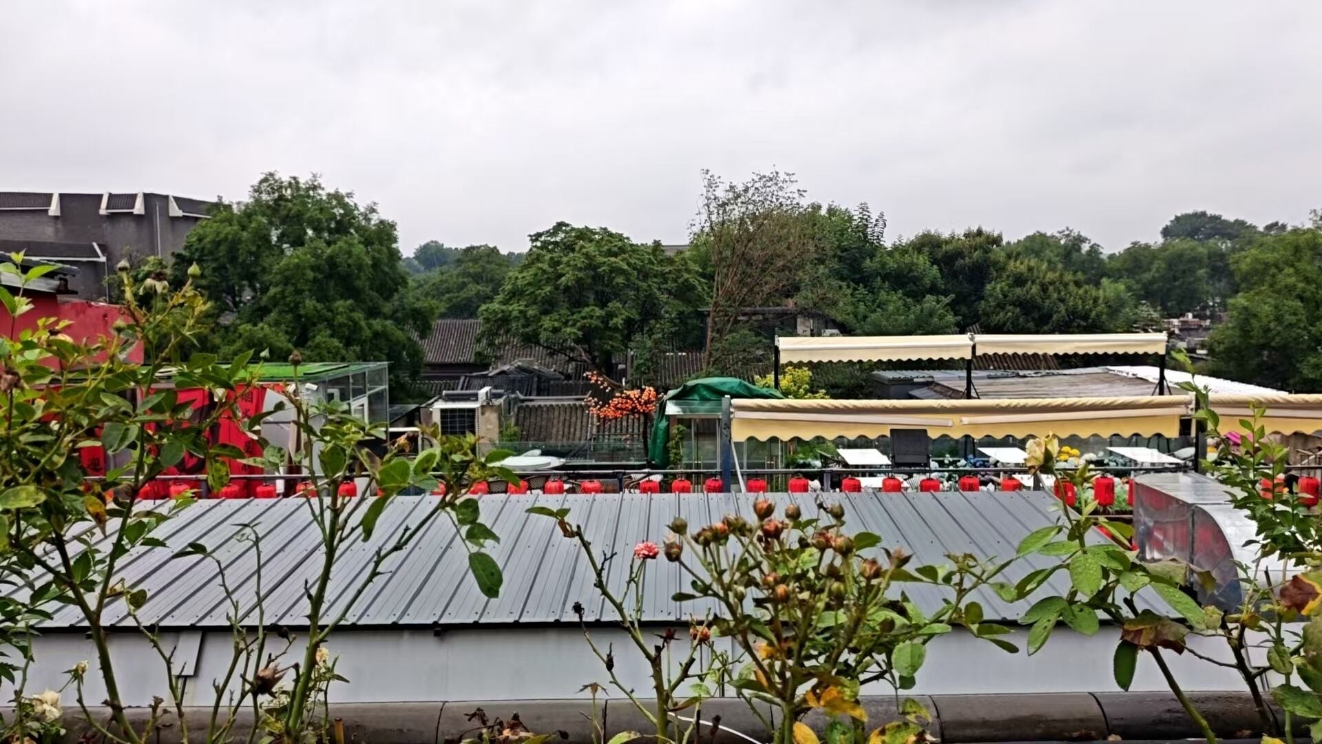 A rooftop with a metal roof, surrounded by greenery and a traditional building in the background.