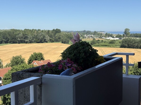 A balcony with a view of a rural landscape, including fields and distant houses.