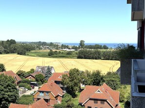 Unclassified image, 5 of 32, button