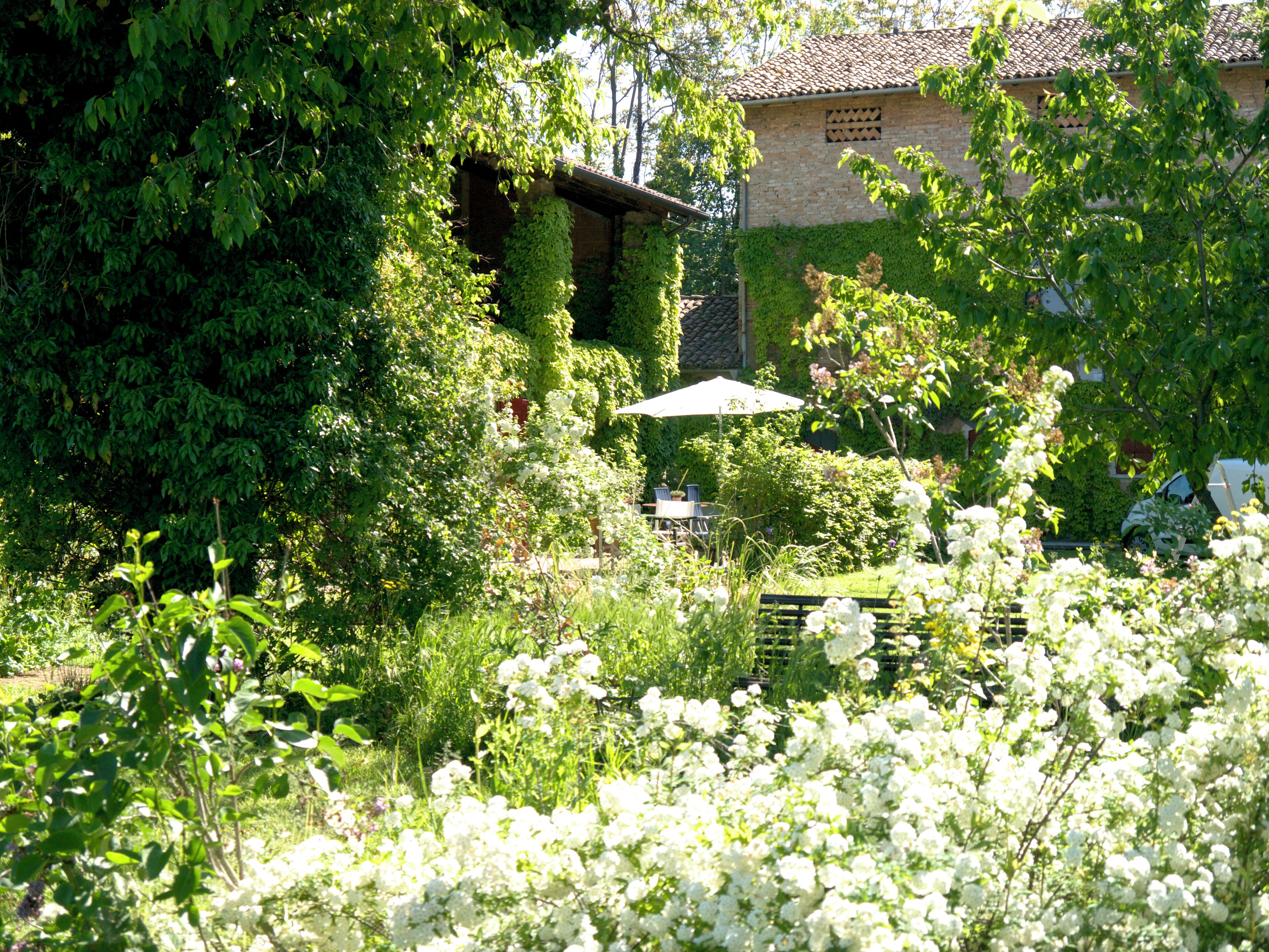 Parco della struttura