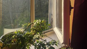 A window with a view of trees outside, a potted plant on the windowsill, and a red cloth hanging on the window frame.