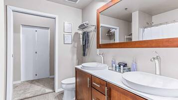 Shower, hair dryer, towels