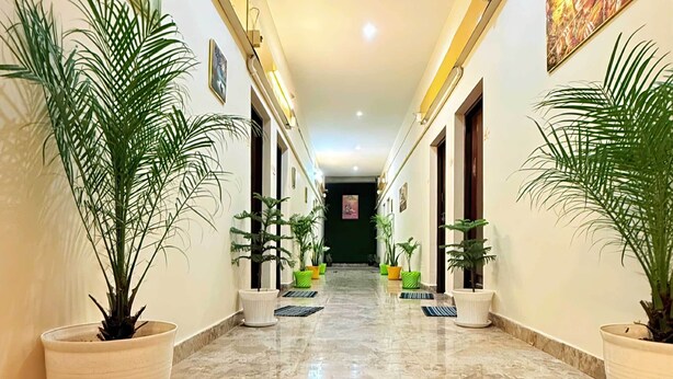 Un pasillo con suelo de mármol, con plantas en macetas a cada lado, cuadros en las paredes y una vista a una habitación al final.