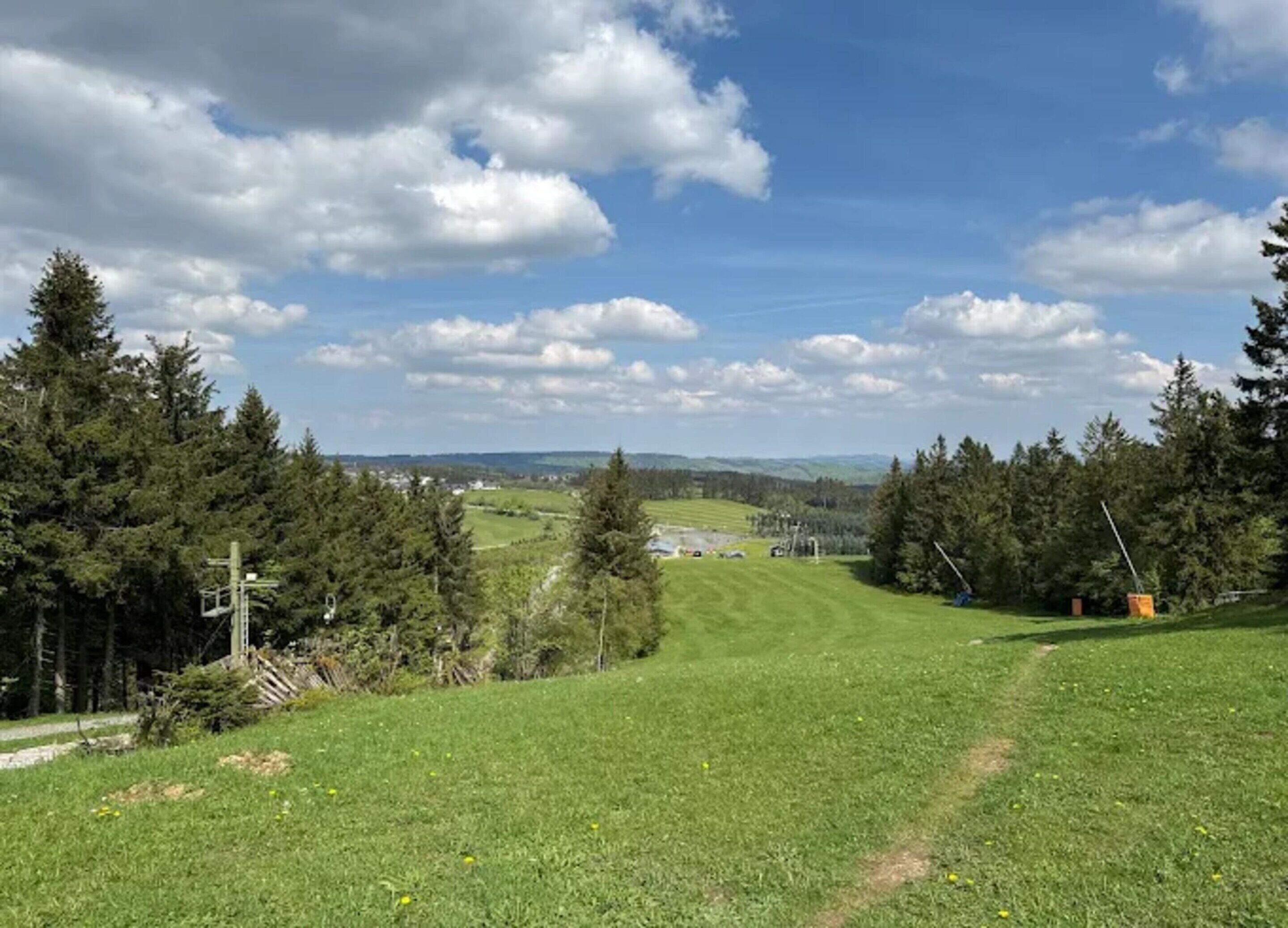 A grassy field with trees and a clear sky.
