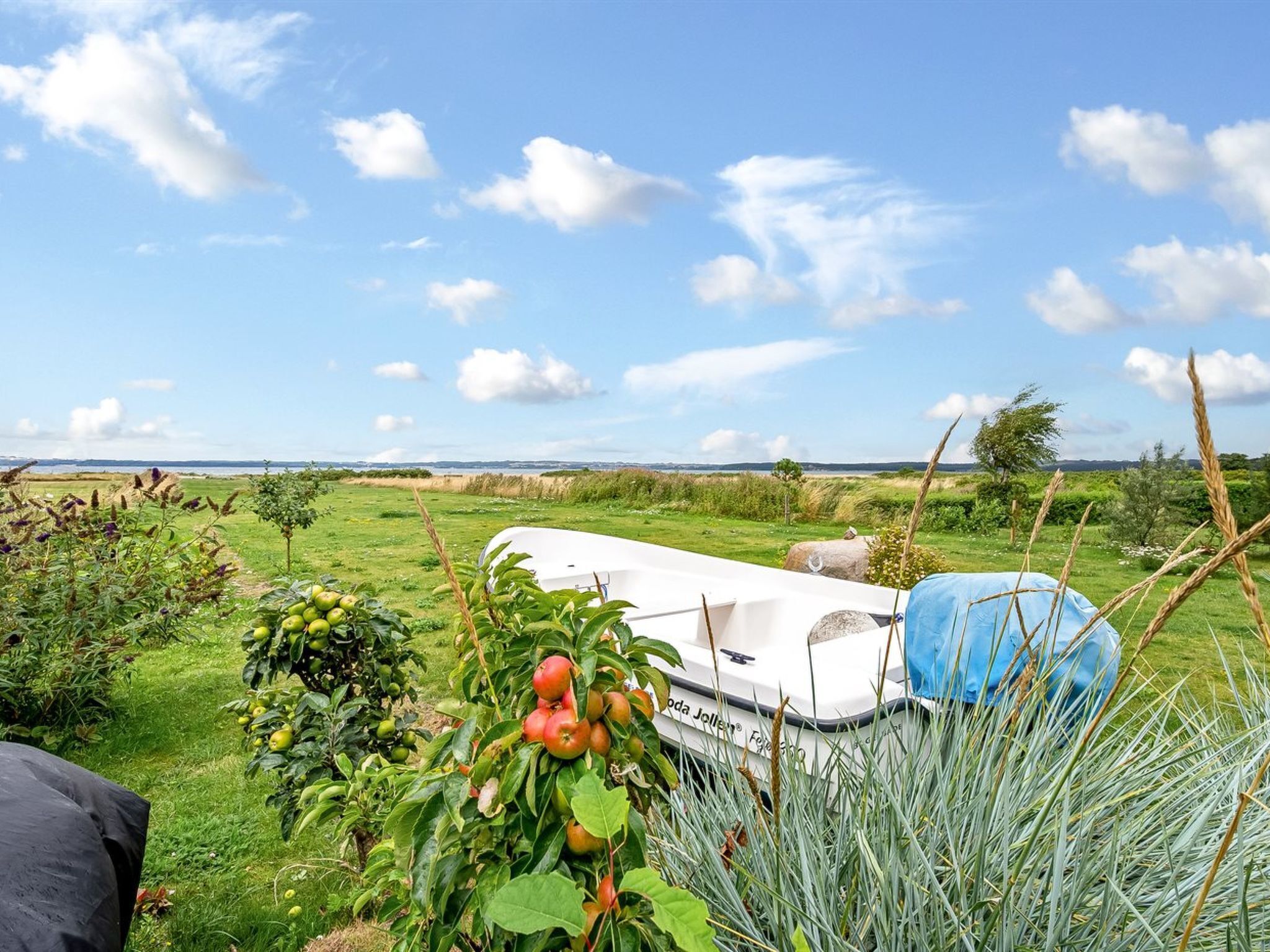 A white boat with the name 'Fiona' on it, parked on a grassy field with a clear sky and distant horizon.