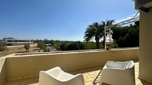 テラス / パティオ