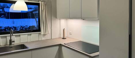 A modern kitchen with a built-in sink, a window with a view of a snowy landscape, and a pendant light above the counter.