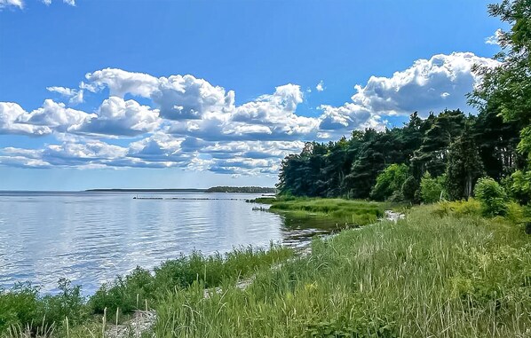A serene lakeside view with calm water, a grassy shoreline, and a forested area under a partly cloudy sky. - Stunning home in Slite with WiFi (Slite)