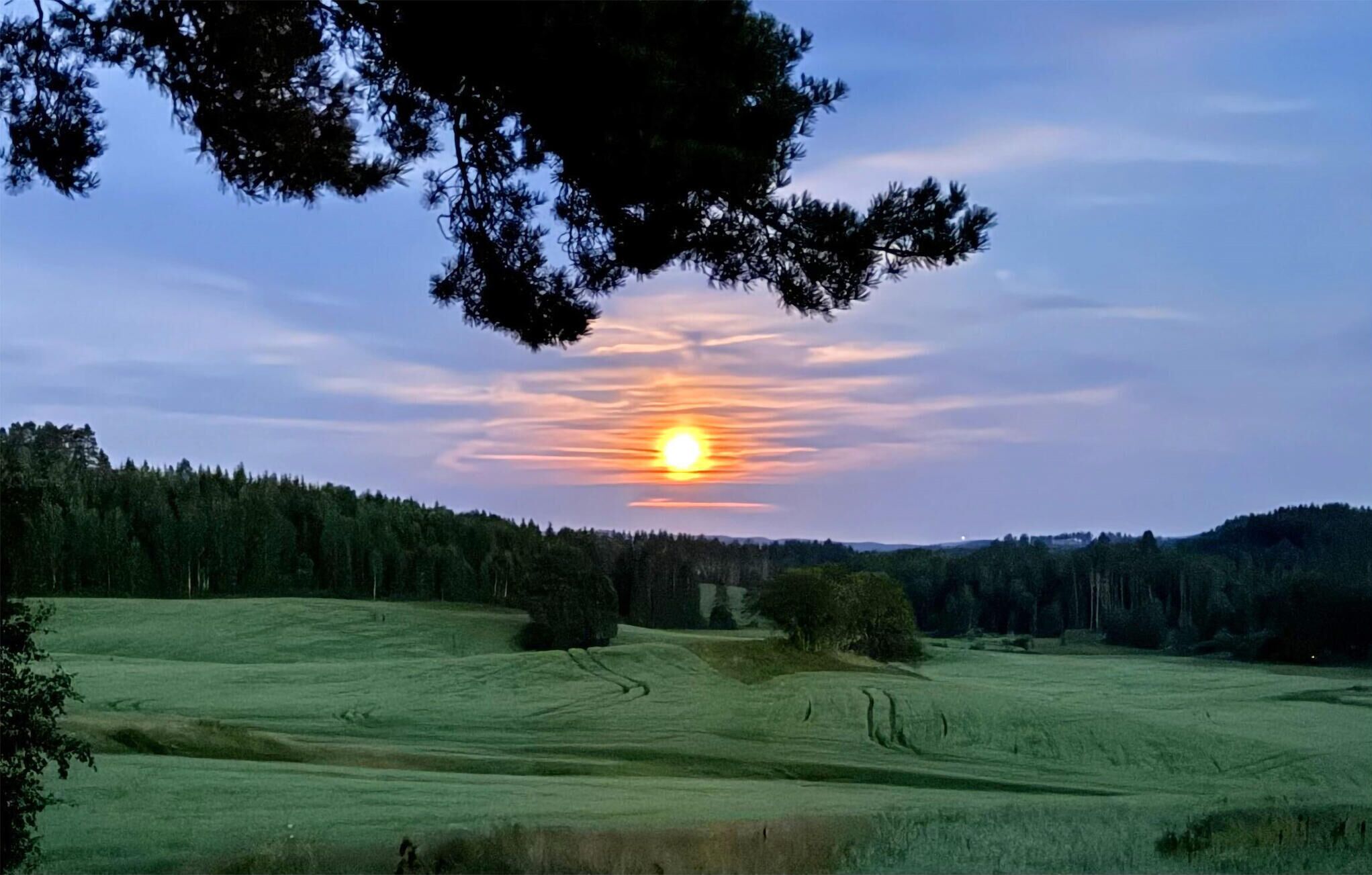 Um pôr do sol sobre um campo gramado, com árvores ao longe.