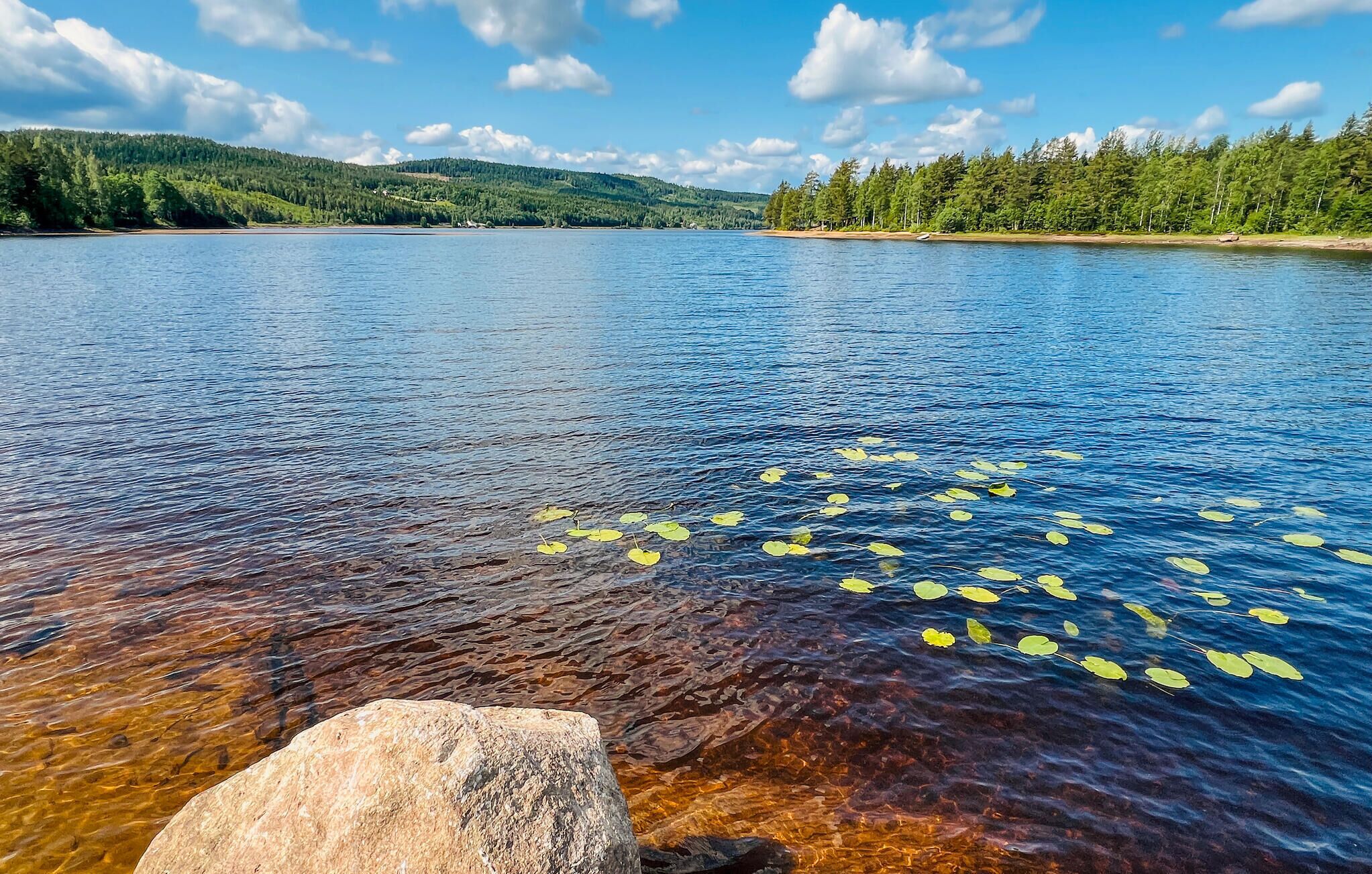 Un lac aux eaux limpides, où l’on peut apercevoir des rochers, et dont les rives sont bordées d’une forêt.