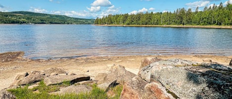 Vissen