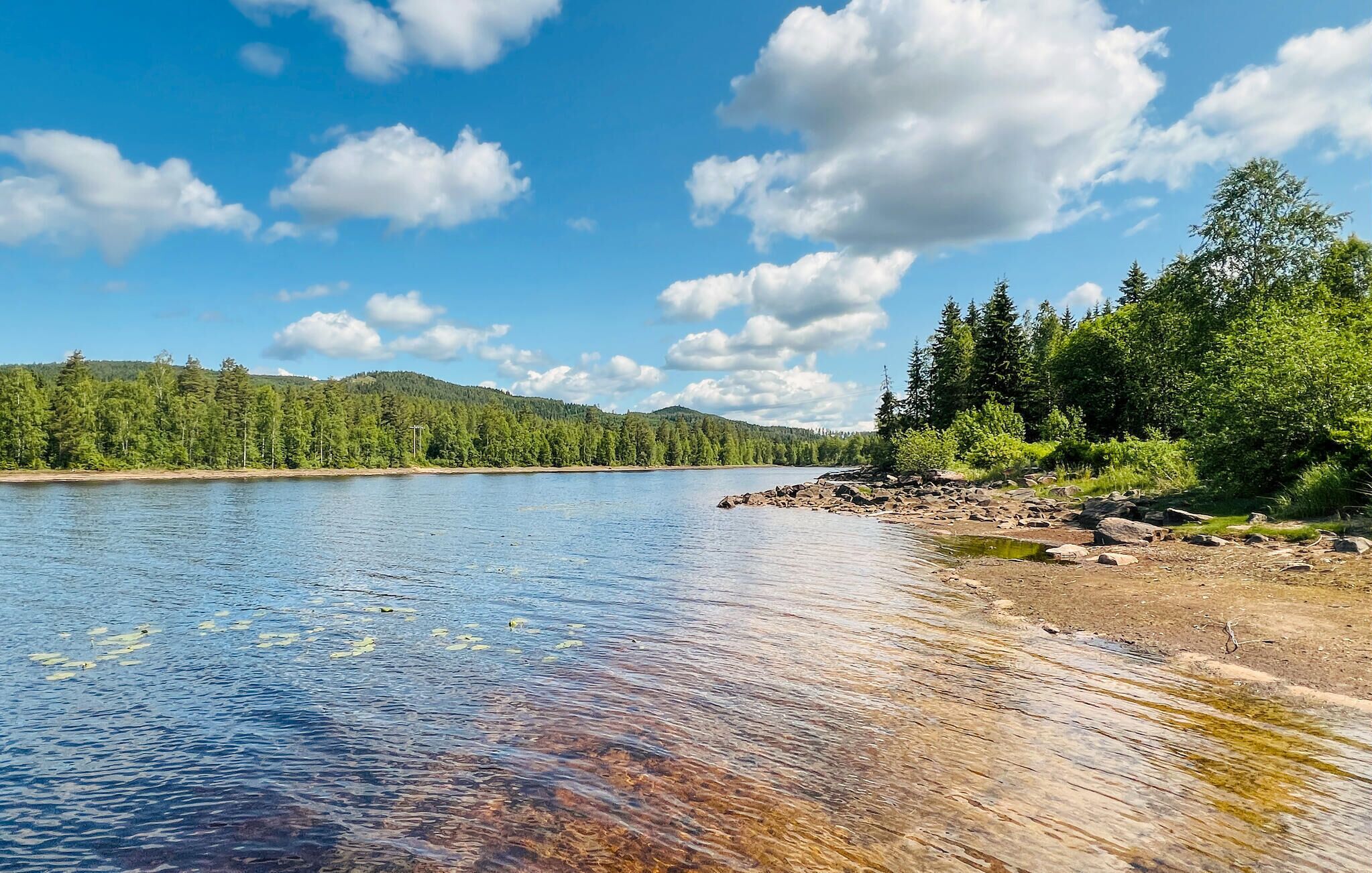 A clear lake with a rocky shoreline and dense forest in the background.