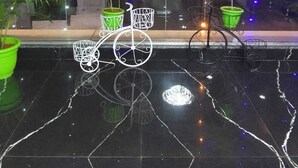 A modern interior with a reflective black floor, potted plants, and decorative bicycles. - HOTEL JD INN (Dumka)