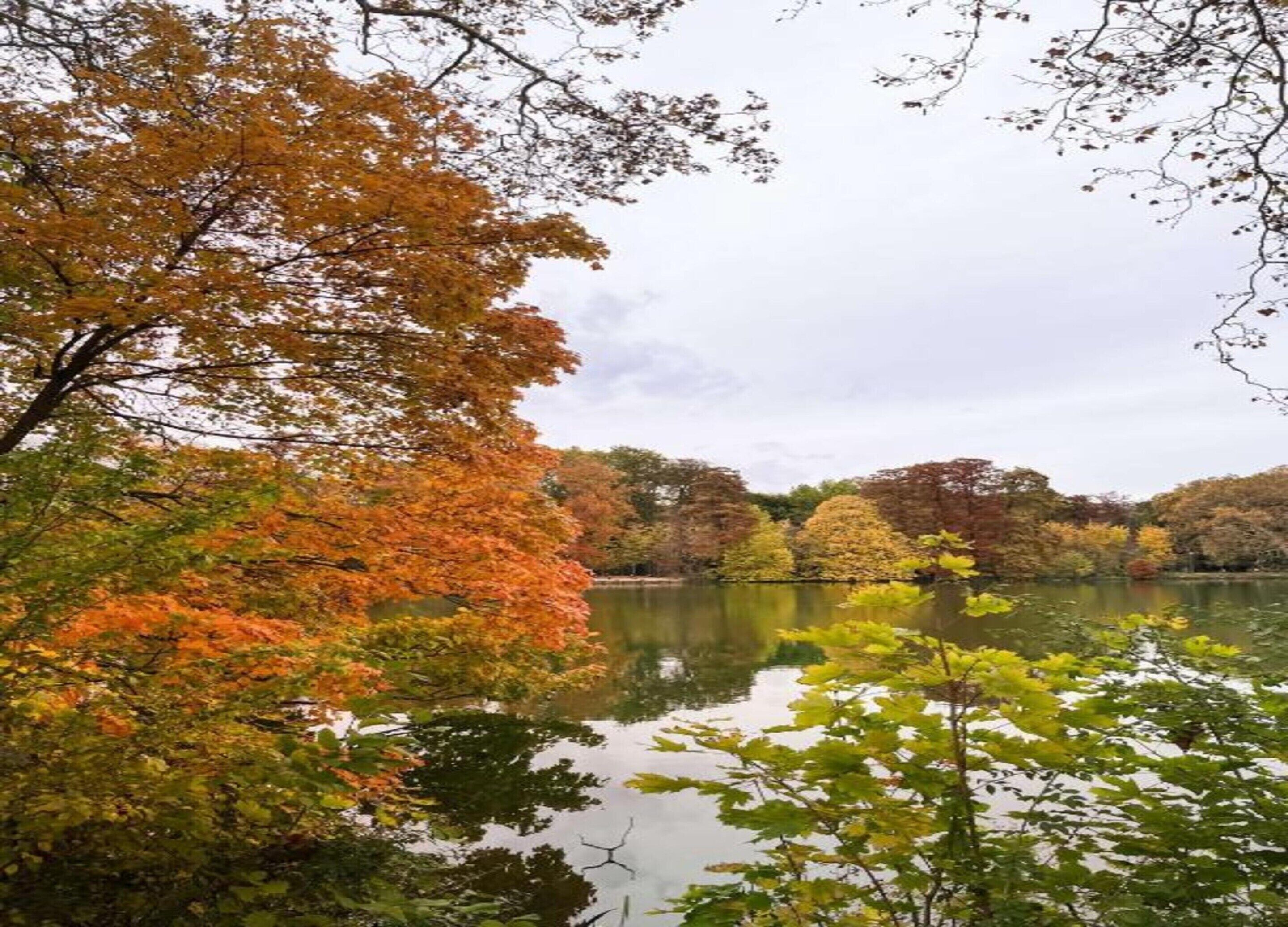 Ein friedlicher See, umgeben von Bäumen im Herbstlaub.