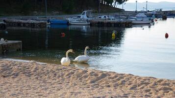 Apartment (Two Bedroom Apartment (ground floor)) | Exterior