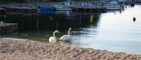 Appartement (Two Bedroom Apartment (ground floor)) | Extérieur