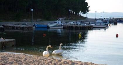 Charming Apartments Dokoza Drage