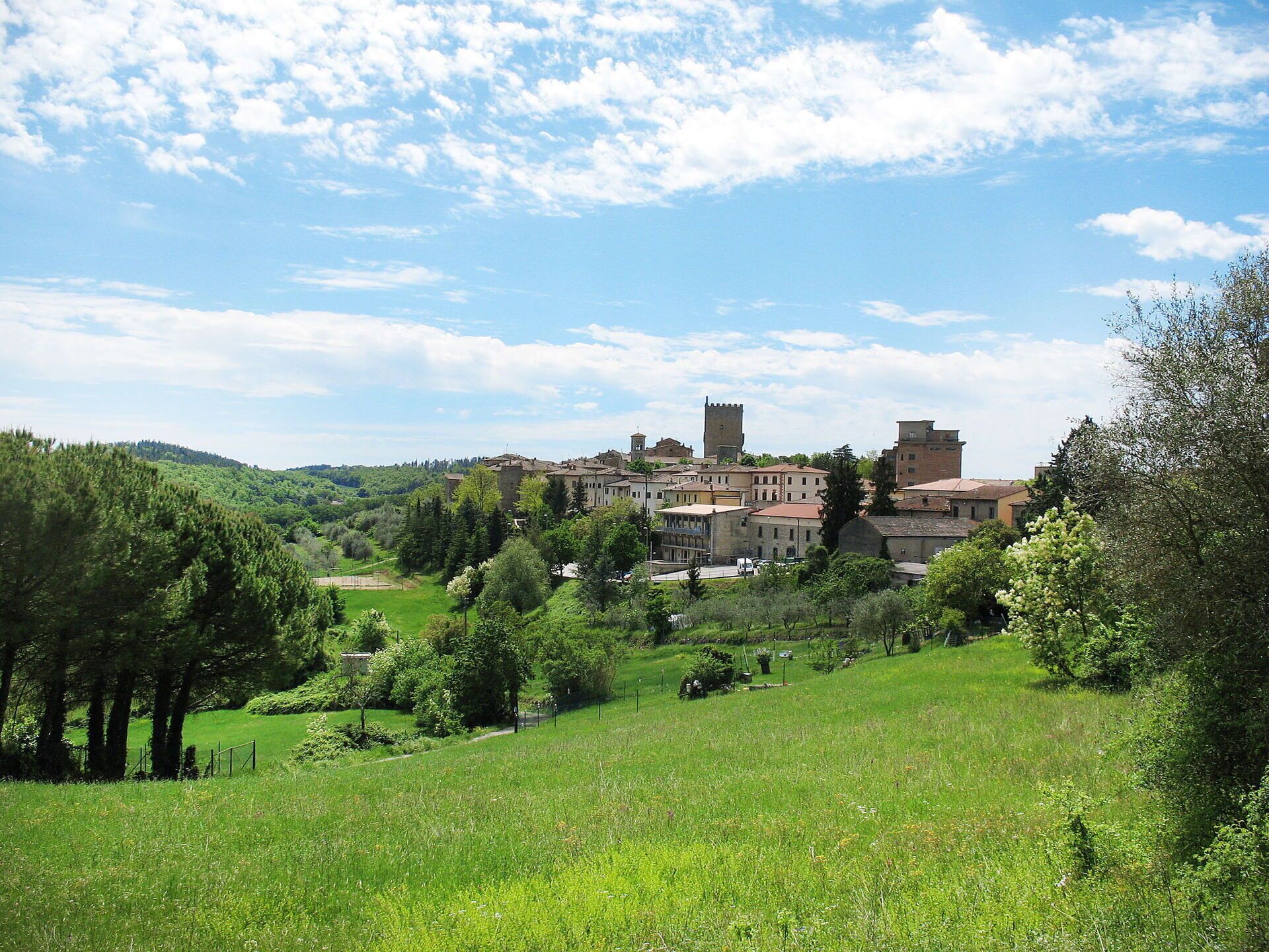 Ländliche Landschaft mit einem Dorf, grünen Feldern und einem markanten Turm.