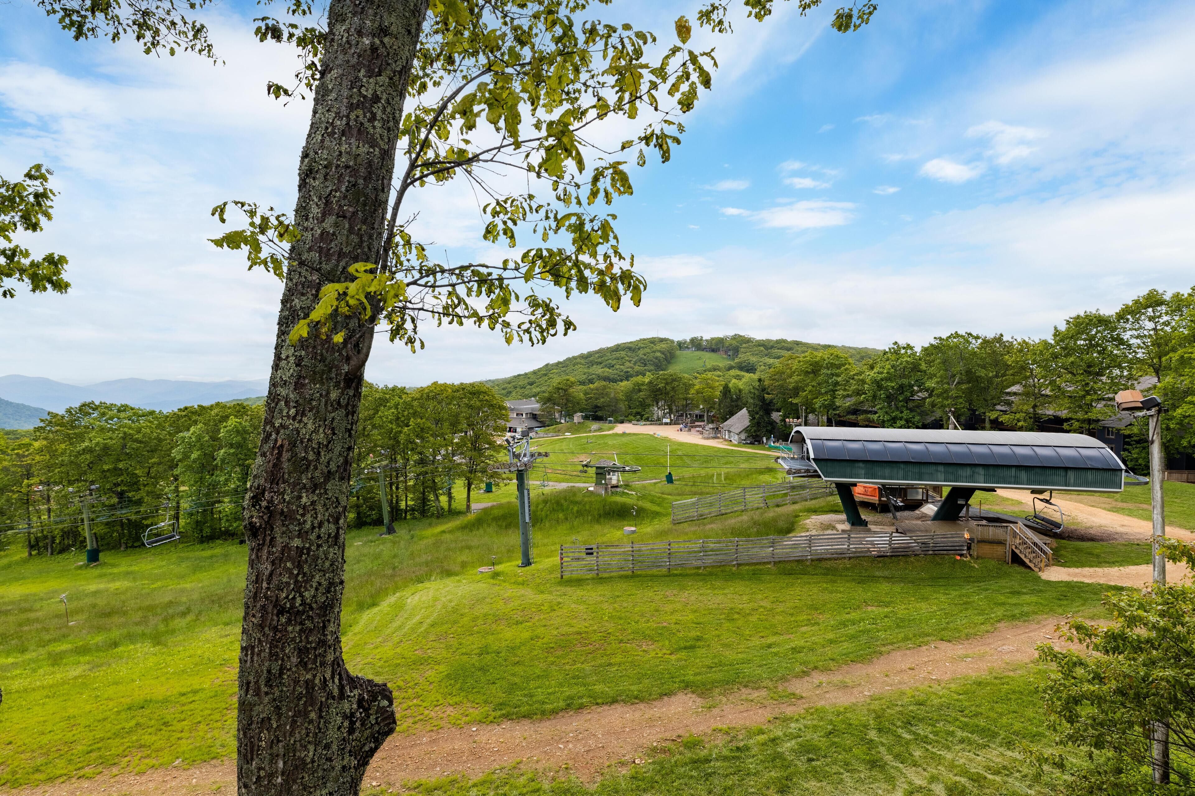 A rural landscape with a large tree, a green field, a solar-powered structure, and a distant view of hills and a small building.