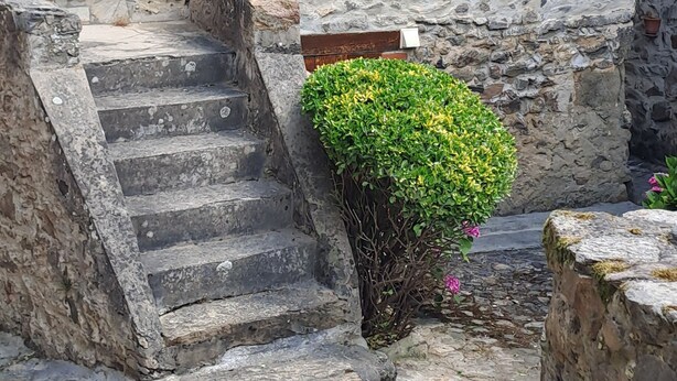 A stone building with a red door and shuttered window, a set of stone steps, and a small bush. - House for rent by the river in a peaceful hamlet (Saint-Cirgues)