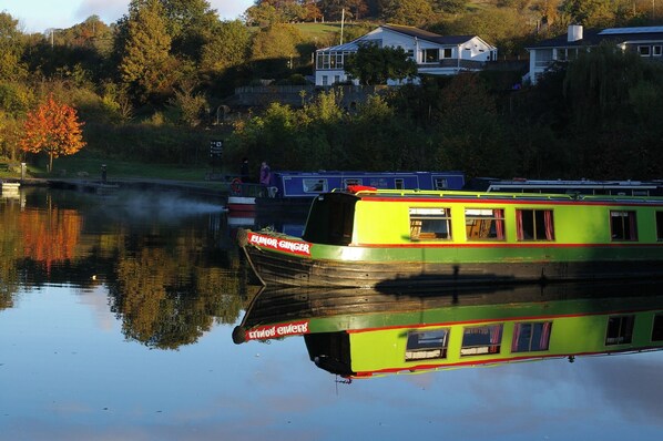 A green and black boat named 'Elmora Ginger' docked at a calm lake with reflections of trees and houses in the background. - Stone - Self-drive Boat - Sleeps 8 - Pet Friendly (Stone)