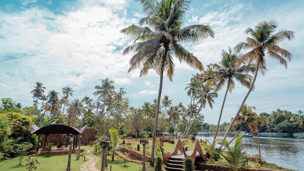 Un jardín tropical con palmeras, un pabellón de madera y un río.