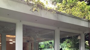 A modern building with glass doors and windows, two elephant sculptures on pedestals, and a view of greenery outside.