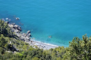 海灘