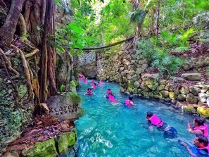 A natural pool surrounded by lush greenery and trees, with people swimming. - Peaceful Riviera Maya Home near Xpuha Beach with Beach Club Access (Xpu Ha)