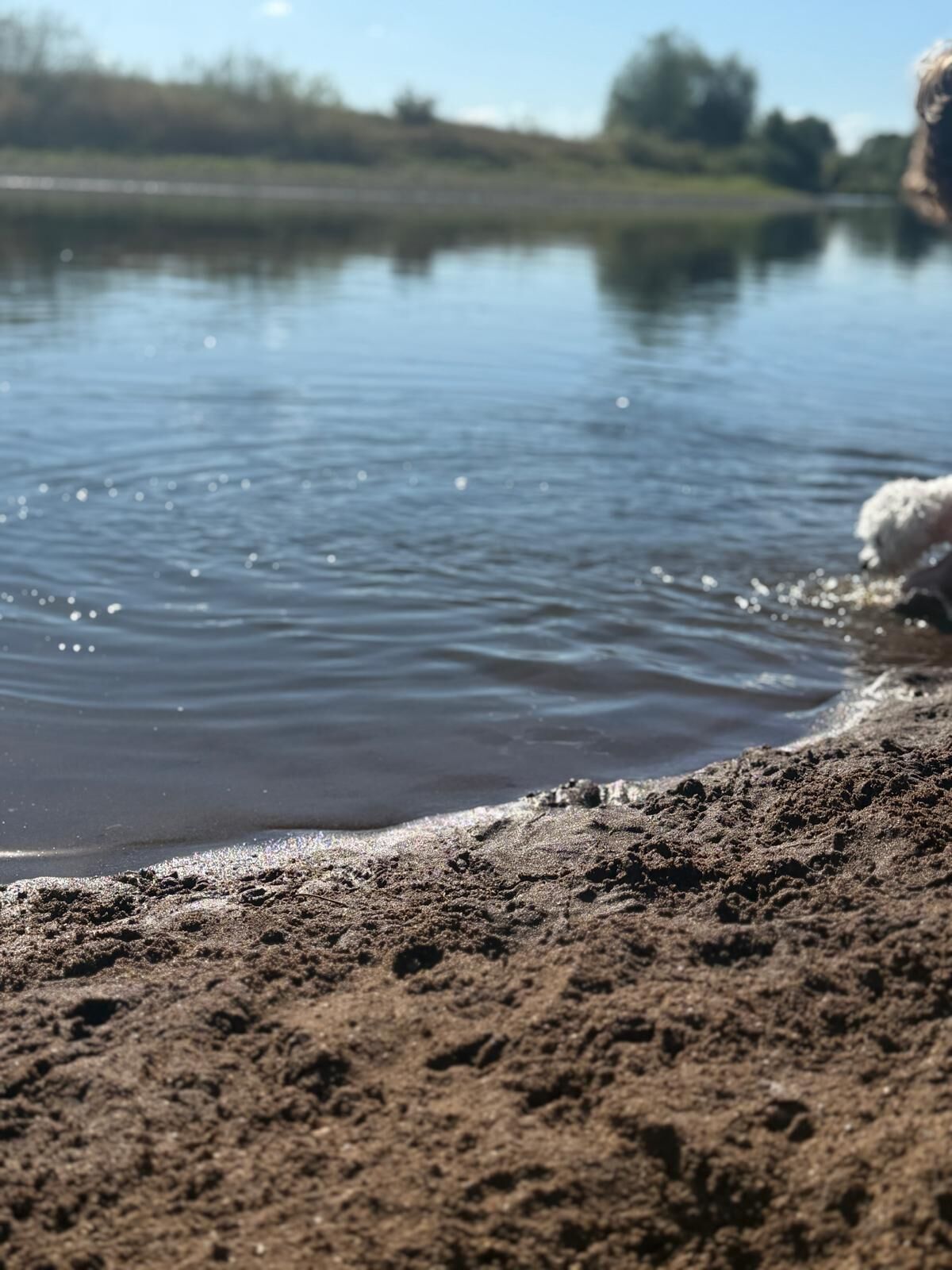 A calm lake with a sandy shore.