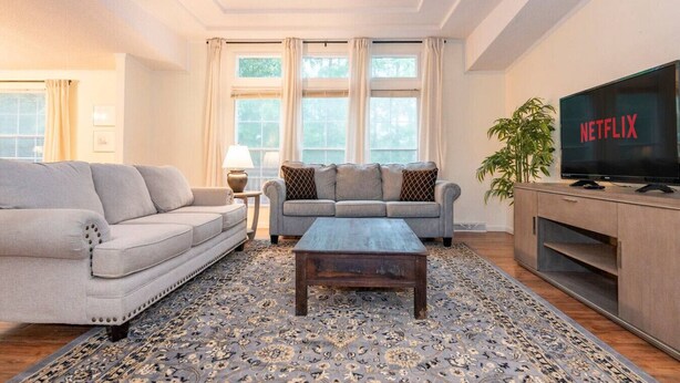 A living room with two sofas, a coffee table, a TV, and a plant.