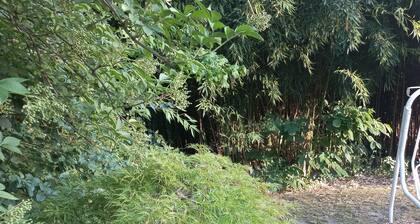 Studio 5minute walk from the village