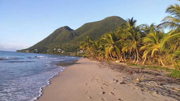 A beach with footprints in the sand, palm trees, and a mountain in the background. - Quiet, air-conditioned bed and breakfast 200 m from Le Diamant beach. (Le Diamant)