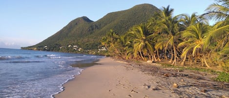 Vlak bij het strand