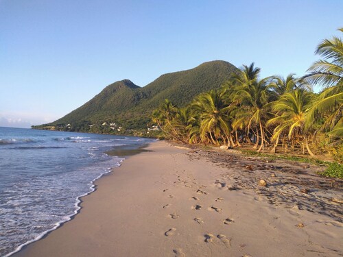 Quiet, air-conditioned bed and breakfast 200 m from Le Diamant beach.