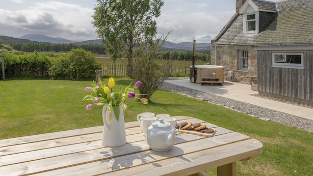 A wooden picnic table with a white teapot and a vase of flowers, set against a backdrop of a house and a grassy field.