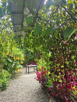 Parco della struttura
