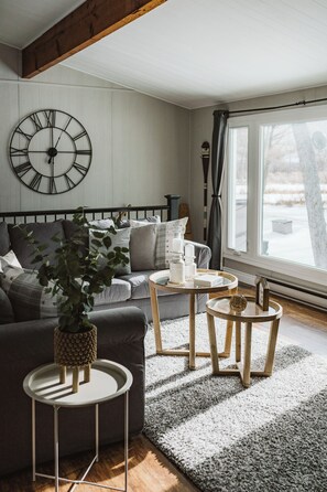 TV, fireplace - Burnt River Waterfront- Kayaks, Hot tub, WiFi (Kawartha Lakes)