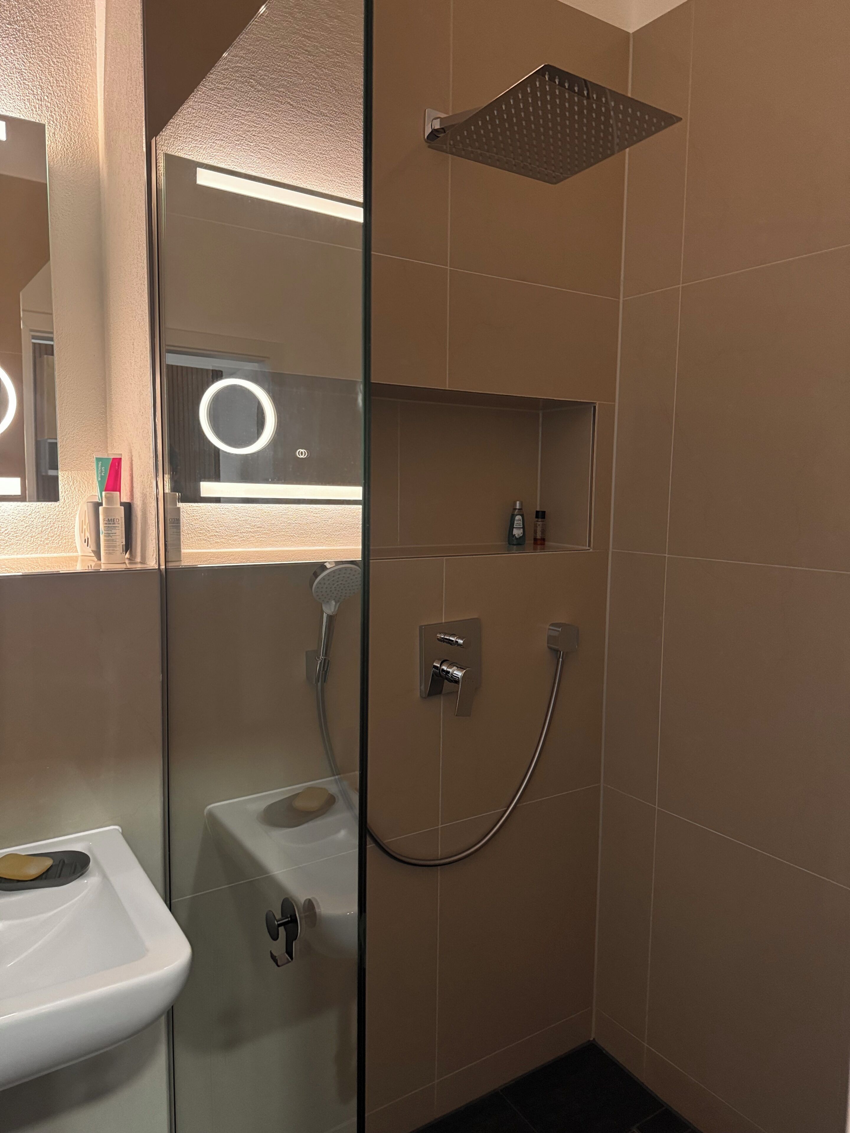 Shower, hair dryer, bidet, towels