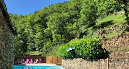 ZEcamping toboggans piscine animaux acceptés locatif 16m2 4 pers