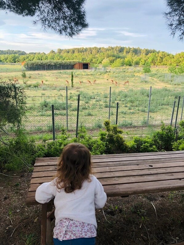 Overnattingsstedets uteområder