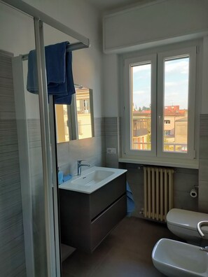 Shower, hair dryer, bidet, towels