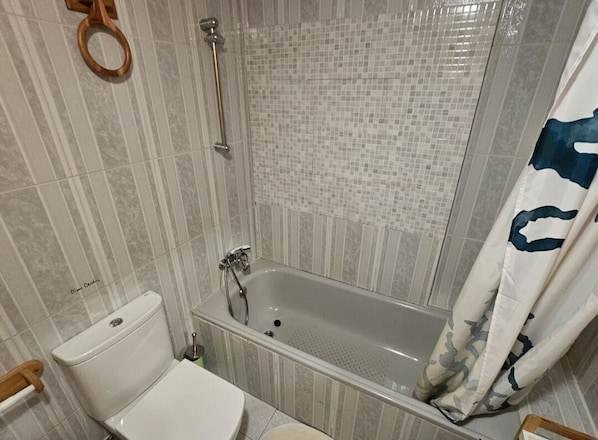 Une salle de bain avec une baignoire, des toilettes et une douche.