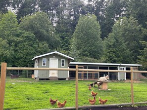 Exterior -   Ocean View-Hobby Farm/2025 Built Home  (Union Bay)
